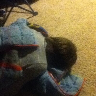 Profile Picture of Brendan Bird (@Sqush10) on Twitter