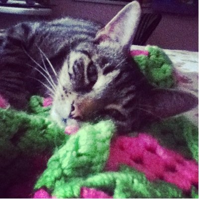 Profile Picture of Ruby Keller (@rubymeowkitty) on Twitter
