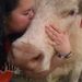 Profile Picture of Kaitlin Smith (@rockinkcattle11) on Pinterest