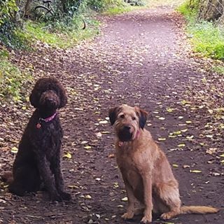 Marisol Frost - Facebook Profile Picture of Marisol Frost (@marisol.negrofernandez) on Facebook