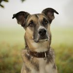 Profile Picture of laurahonegger.fotografie (@laurahonegger.fotografie) on Instagram