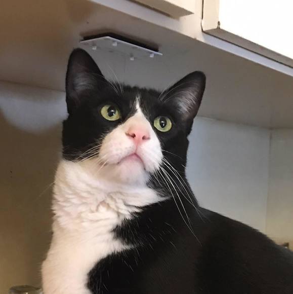 Amanda Galatro - Poshmark Profile Picture of Amanda Galatro (@coolcollectible) on Poshmark