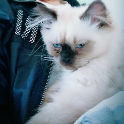 Profile Picture of Gu Wenyi (@ttw425) on Twitter