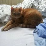 Profile Picture of Marjan Pepping (@marjanpepping) on Instagram