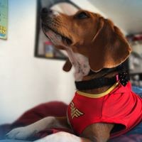 Profile Picture of Troy Stevenson (@troy-stevenson-7) on Quora