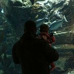 Profile Picture of Greg Kamp (@gdkamp) on Instagram