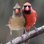 Profile Picture of Jim Danowski (@jim.danowski.58) on Facebook