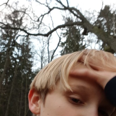 Profile Picture of Tom Lindfors (@TomLindfors3) on Twitter
