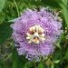Profile Picture of Jennifer Trudell-Marosits (@jennifertrudell) on Pinterest