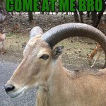 Profile Picture of Grayson Frederick (@killermuffenman) on Instagram