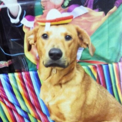 Profile Picture of Jess Bogle (@JBogle8) on Twitter