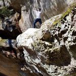 Paul Prario - Instagram Profile Picture of Paul Prario (@vermillion_reptiliansb) on Instagram