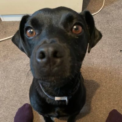 Profile Picture of Matthew Acton (@MatthewActon12) on Twitter