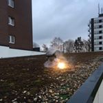 Profile Picture of Max Lange (@max.lange_1207) on Instagram