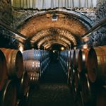 Profile Picture of Jesse Correia (@the_wine_guru) on Instagram