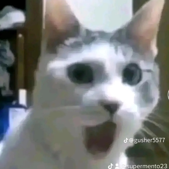 Profile Picture of Olix Imiax (@olixxonapill) on Poshmark