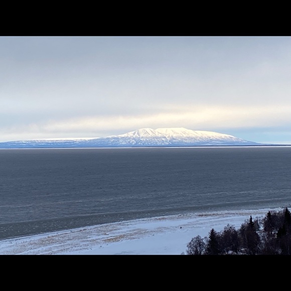 Profile Picture of Briana Lowen (@brianalowen) on Poshmark