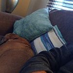 Thomas Sisk - Instagram Profile Picture of Thomas Sisk (@thomas.sisk) on Instagram