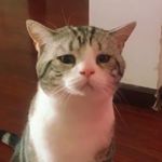 Profile Picture of Le Thu Cuc (@le.thu.cuc) on Instagram