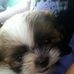 Profile Picture of Cress Halzen (@cress.halzen.7) on Facebook