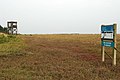 Profile Picture of Bradwell Shell Bankon Wikipedia
