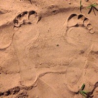 Profile Picture of Christopher Eason (@christopher-eason-3) on Quora