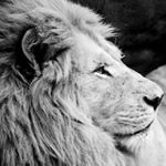 Profile Picture of charlie Daugherty (@charliedaugherty7) on Instagram