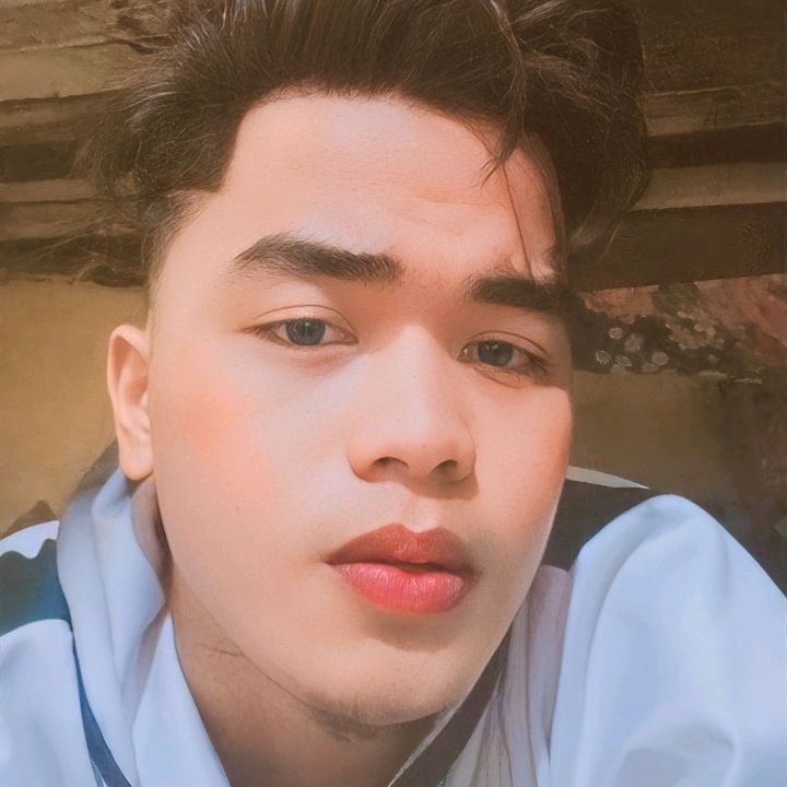 Profile Picture of Joshua Catalan (@joshua_catalan29) on Tiktok