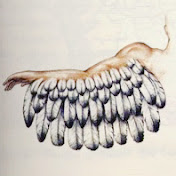 Profile Picture of David Josef Merta (@davidjosefmerta) on Youtube