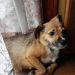 Profile Picture of Katsuhiro Okada (@markagyt) on Instagram