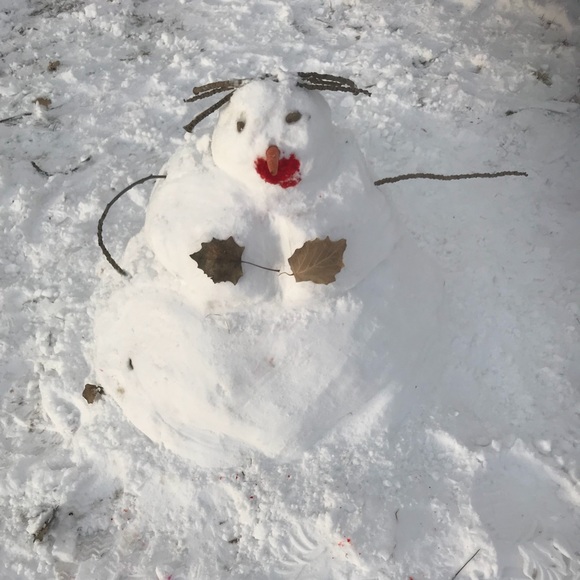 Profile Picture of Karlee Larsen (@mskarleelarsen) on Poshmark