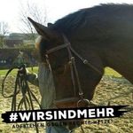 Christiane Bussmann - Instagram Profile Picture of Christiane Bussmann (@bussmannchristiane) on Instagram