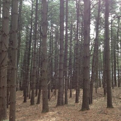 Profile Picture of Jason Pryor (@MomentumJP) on Twitter