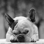 Profile Picture of Piotr Marczak (@pan_marczi) on Instagram