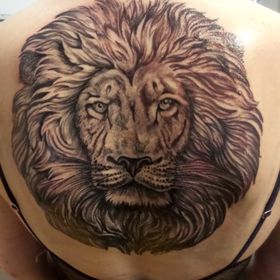 Profile Picture of Charlotte Napper (@charlynapper15) on Pinterest