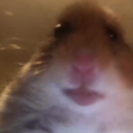 Profile Picture of Gaming (@@jeremy_foote_xd) on Tiktok