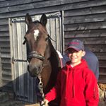 Profile Picture of Harry scott (@harryscott.eventing) on Instagram