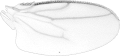 Profile Picture of Pullimosinaon Wikipedia