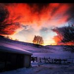Profile Picture of Pam Marshall Fry (@pam.marshall) on Instagram