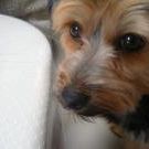 Profile Picture of Bobbie Kuether (@bkuether) on Pinterest