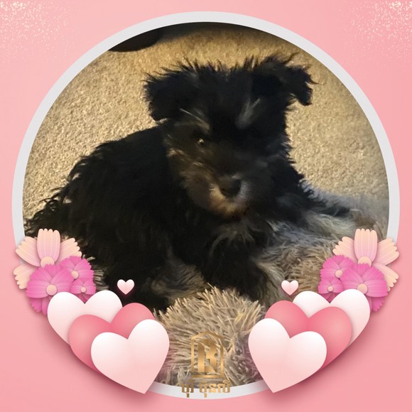 Profile Picture of Sara Waltermeyer (@sarawaltermeyer) on Poshmark