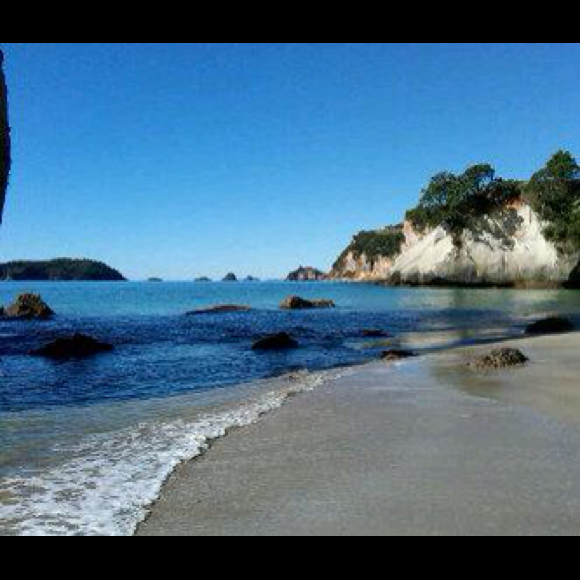 Profile Picture of Sam Cunningham (@scunn7) on Poshmark