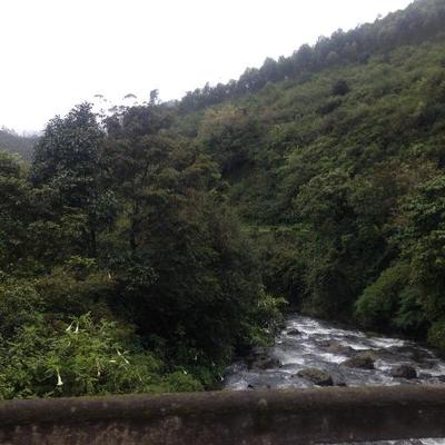 Profile Picture of Juliet Stephen (@julietdenny) on Twitter