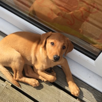 Profile Picture of Doug__Pritchard (@Doug77513406) on Twitter