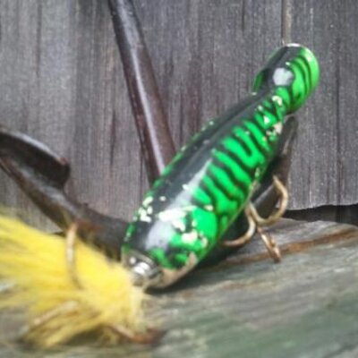 Profile Picture of David Bronstein (@dbronst) on Twitter