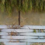 Profile Picture of Krista Dowling (@kristadowling) on Instagram