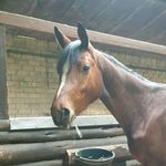 Sonja Franzenburg Much - Instagram Profile Picture of Sonja Franzenburg Much (@sonjafranzenburg) on Instagram