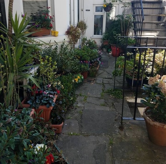 Profile Picture of Trudy Hayden (@trudyhayden) on Poshmark