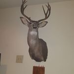 Profile Picture of Mike Hodge (@mike.hodge.5623) on Instagram