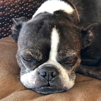 Profile Picture of Joseph Anderson (@Joe_E_Sack) on Twitter